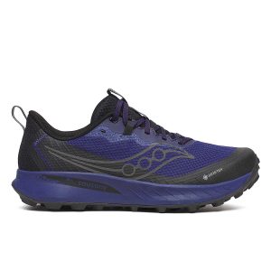 MEN'S PEREGRINE 15 GTX